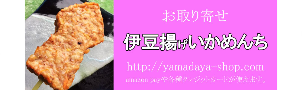 伊豆揚げいかめんち|蒲鉾通販 お取り寄せ