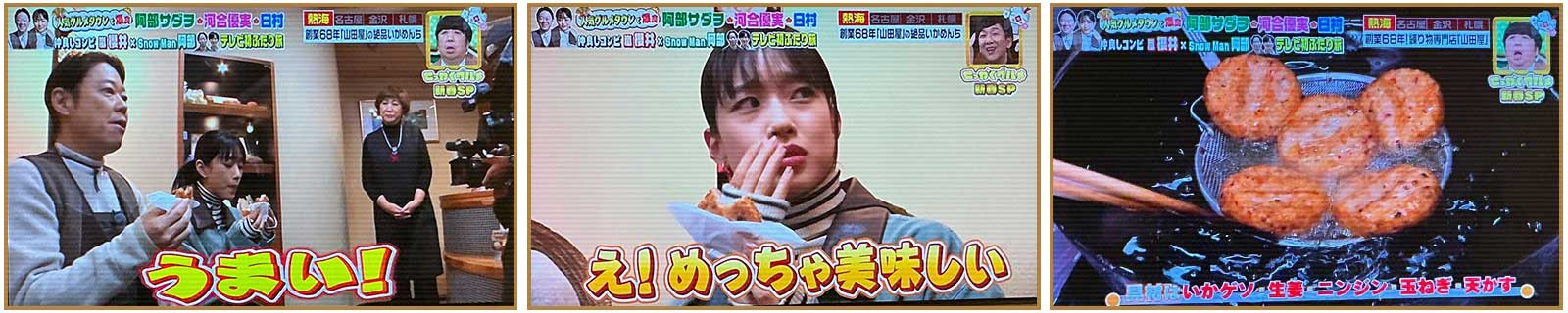 熱海いかめんち